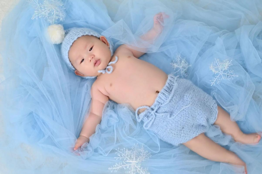 丰城宝宝树怎么样